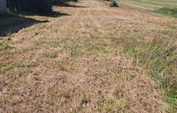 Eladó telek/földterület