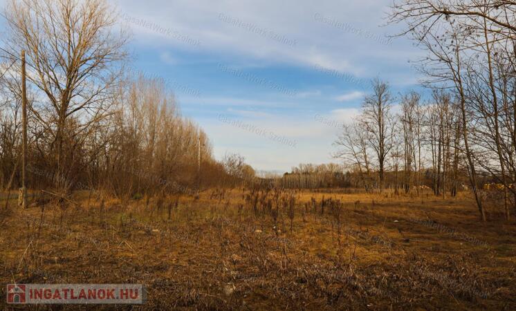 Eladó zöldterület, Tápiószentmárton