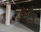 Kiadó telek/földterület Lakhegy 450 000 Ft