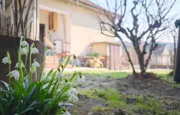 Eladó családi ház