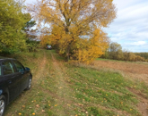 Eladó üdülő/nyaraló Kisgörbő 4 800 000 Ft