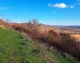 Csodálatos panorámával -eladó MEZŐGAZDASÁGI TERÜLET PÉCSELYEN