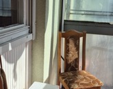 Eladó lakás Budapest XV. ker 65 000 000 Ft