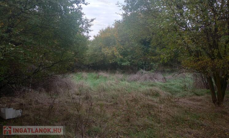 Eladó Papkeszin 7035 nm lakóövezeti építési telek