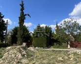 Eladó telek/földterület Telki 89 900 000 Ft