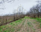 Eladó telek/földterület Bölcske 2 700 000 Ft