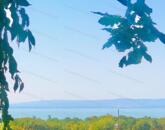 Beépíthető panorámás szőlőterület