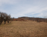 Eladó telek/földterület Köveskál 37 900 000 Ft