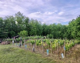 Eladó telek/földterület Kehidakustány 9 000 000 Ft