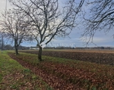 Eladó telek/földterület Kémes 1 290 000 Ft