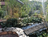 Eladó családi ház Siklós 105 000 000 Ft