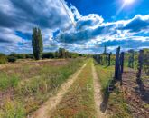 Eladó telek/földterület Bölcske 3 200 000 Ft