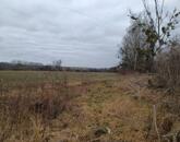 Pusztavám belterületén frissen kialakított építési telkek eladók