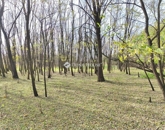 Eladó telek/földterület Farmos 9 900 000 Ft