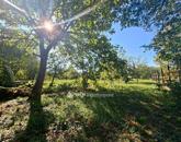 Eladó családi ház Budapest XVI. ker 98 500 000 Ft