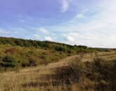 Zártkert eladó, BALATONALMÁDI