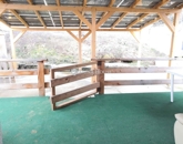 Eladó családi ház Pilisborosjenő 219 000 000 Ft