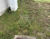 Eladó telek/földterület Székesfehérvár 31 000 000 Ft