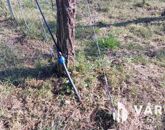 Eladó telek/földterület Kővágóörs 59 900 000 Ft