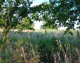 Eladó telek/földterület Szigliget 59 000 000 Ft