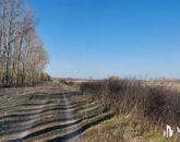 Eladó ipari ingatlan Hosszúpályi 599 000 000 Ft