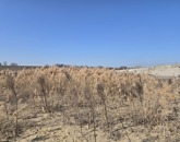 Eladó ipari ingatlan Veresegyház 260 000 000 Ft