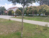 Eladó iroda/üzlethelyiség Almásfüzitő 59 000 000 Ft