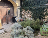 Eladó lakás Pécs 57 900 000 Ft