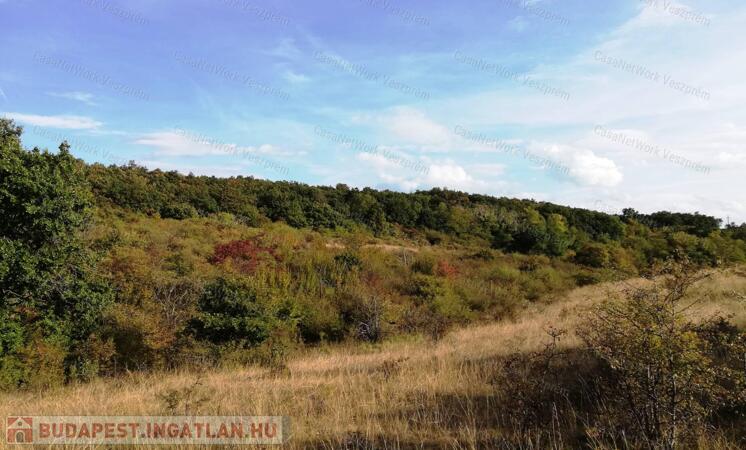 Zártkert eladó, BALATONALMÁDI                                 