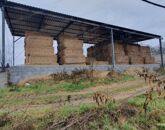 Eladó ipari ingatlan Lébény 99 999 000 Ft