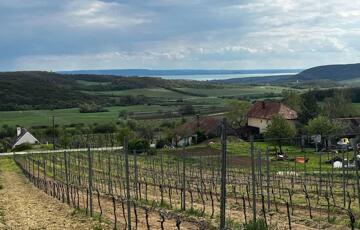 Eladó telek/földterület