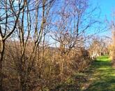 Fás, erdős terület - eladó MEZŐGAZDASÁGI TERÜLET KAPOLCSON