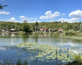 Eladó családi ház Pécel 27 500 000 Ft