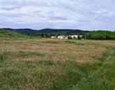 Kedvező adottságokkal-eladó MEZŐGAZDASÁGI TERÜLET BALATONRENDESEN