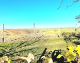 Eladó családi ház Kemence 32 000 000 Ft