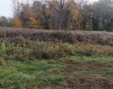 Eladó telek/földterület Dömsöd 14 500 000 Ft