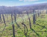 Eladó telek/földterület Felsőörs 60 000 000 Ft