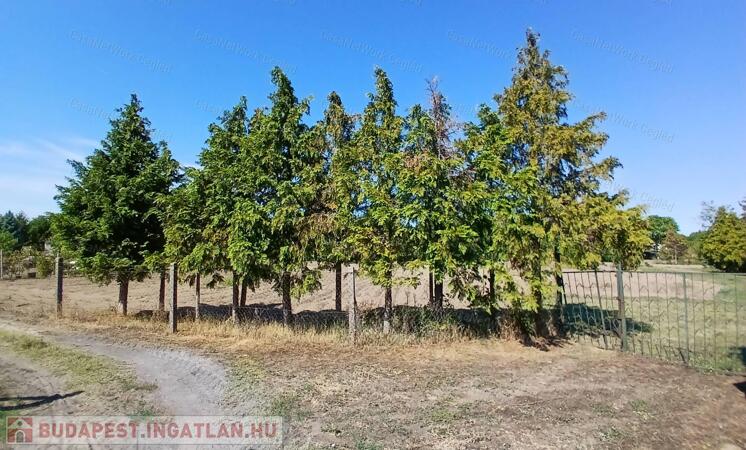 Eladó Cegléd (Öregszőlő ) 4181 m2 Zártkerti telek.                                 