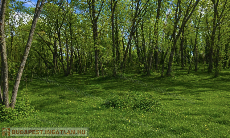 Nyugalom+Jó közlekedés-Építési telek Veresegyházon                                 