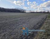 Eladó telek/földterület Alsópáhok 8 500 000 Ft