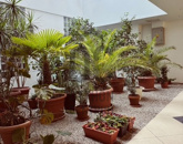 Eladó lakás Budapest VI. ker 183 000 000 Ft