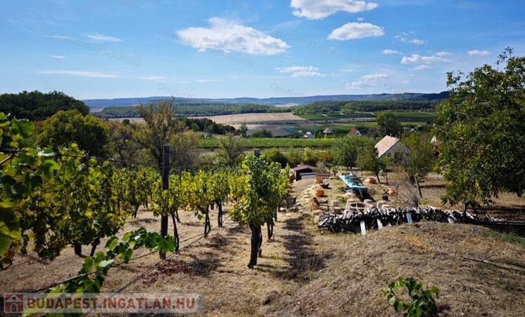 Mediterrán hangulatú tájpanorámás zártkert fele eladó Balatonszőlősön                                 