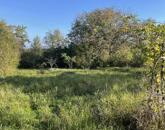 Gyönyörű panorámával eladó telek Oroszlány külterületén