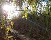 Cibakházán eladó tégla építésű nyaraló!