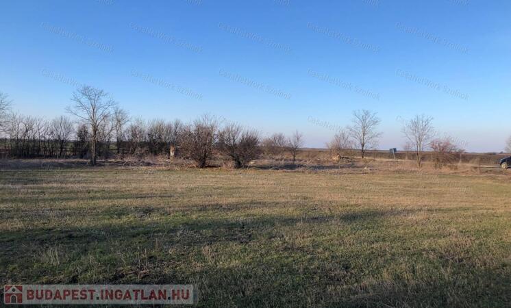 ELADÓ Szászberek Alsó-tanyán 2623 m2 külterületi besorolású tanya                                 