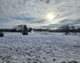 Eladó családi ház Magyarszék 79 500 000 Ft