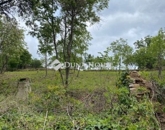 Eladó telek/földterület Pécs 35 000 000 Ft