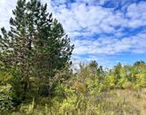 Vályogház, borospince 1 hektáron