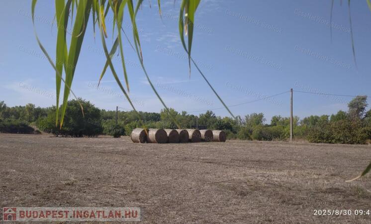 Építési telek eladó vízközelben!                                 