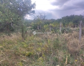 Eladó telek/földterület Kővágószőlős 5 500 000 Ft